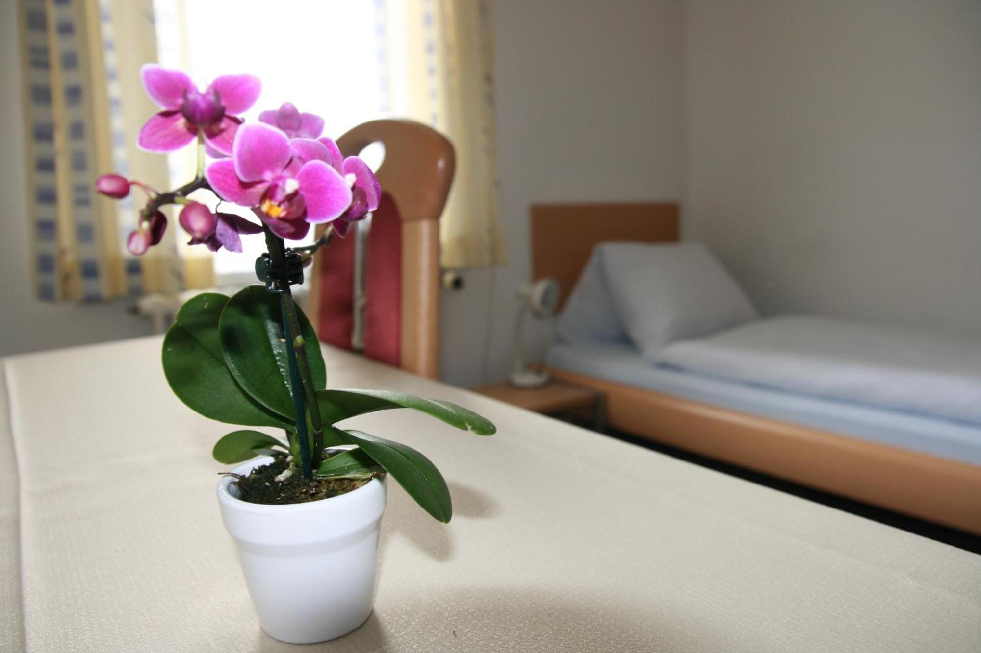 Hotel Glaernisch Hof Horgen Dış mekan fotoğraf