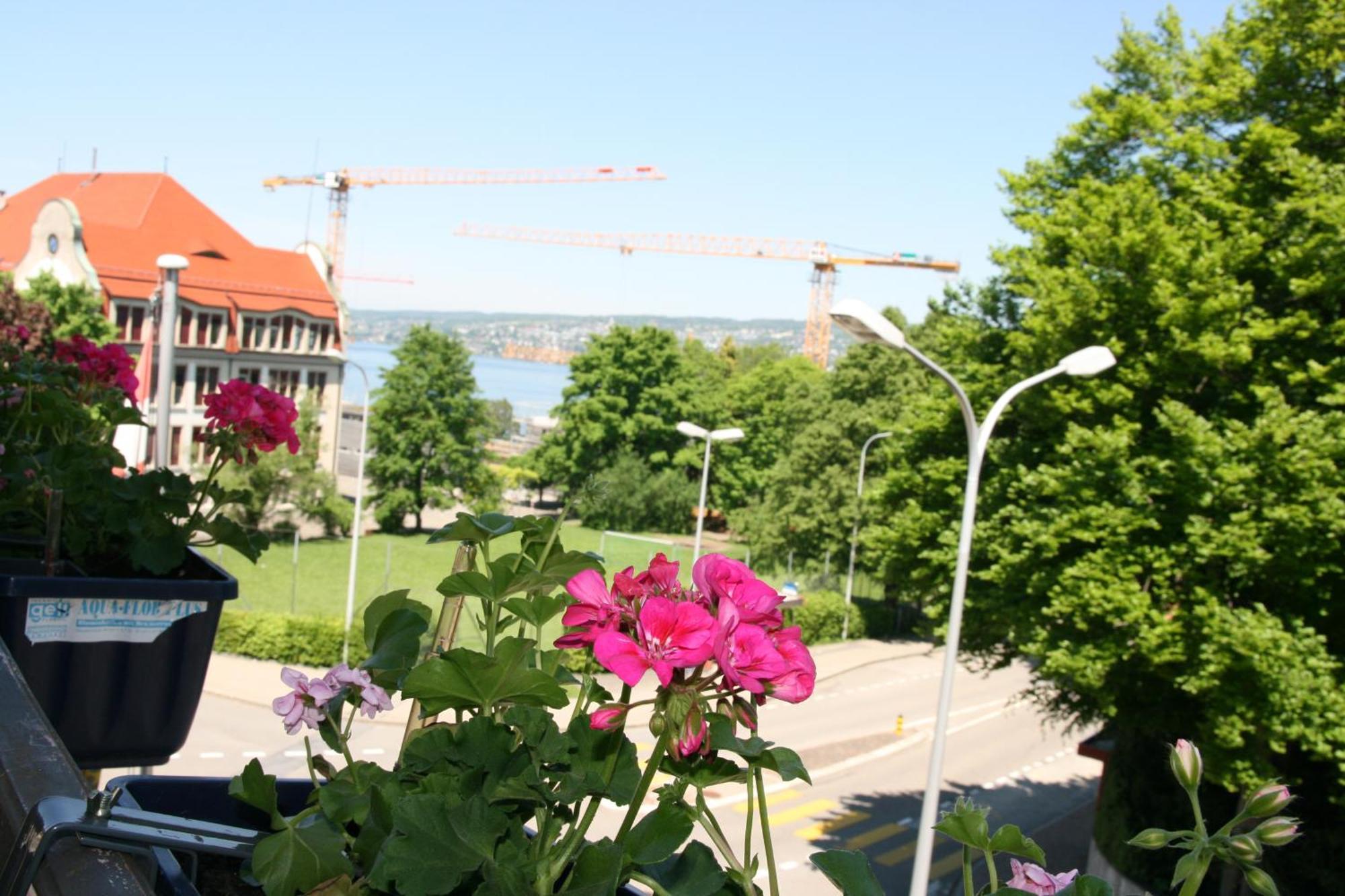 Hotel Glaernisch Hof Horgen Dış mekan fotoğraf