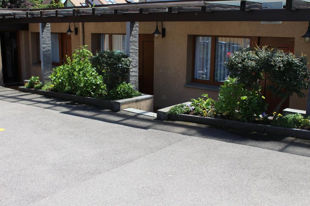 Hotel Glaernisch Hof Horgen Oda fotoğraf